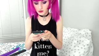 Tweetney are you kitten me 2017-07-01-06-33
