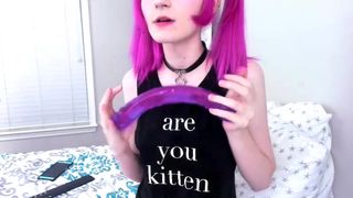 Tweetney are you kitten me 2017-07-01-06-33