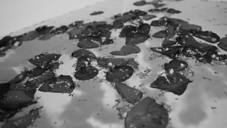 LilyIvy - Peppermint.and.Rose.Petals-Bampw.bath.tease-2017.05.25-720p