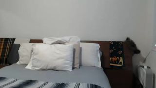 Eevielain lesbo spanking ass in cam recording 2016-07-15 100154