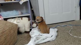 Arabella_fae cam recording 2016-07-01 082347