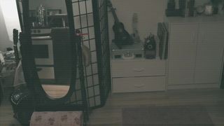 JASPERSWIFT FIVE NIGHTS AT JASPERS