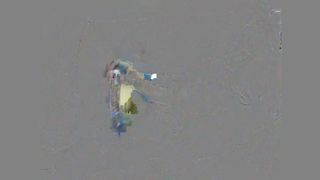 Vicki3 Closeup dildo play