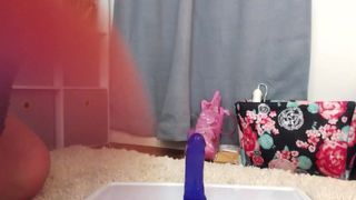 Sugarbooty - 304149541