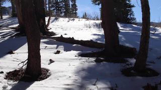 raeriley outdoor blowjob