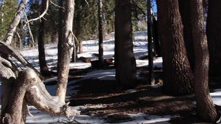 raeriley outdoor blowjob