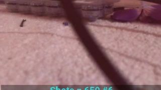 hyrulefairy recording 3