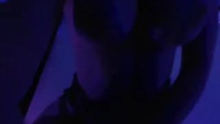 Bellabrookz 20150216