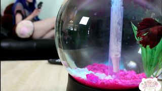 Premium Ledabear LedaElizabeth Home Alone