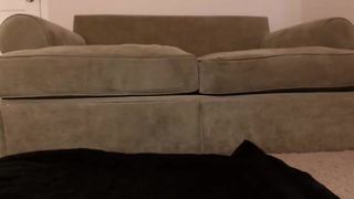 bellecurve_2016-09-04