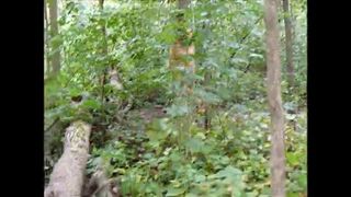 LucysLounge outdoor blowjob