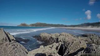 Forest_Nymph premium