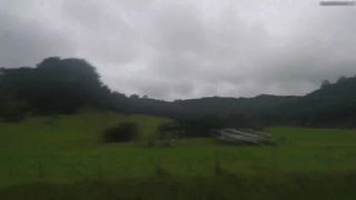 Forest_Nymph premium