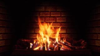 Cutekat - Candy Cane Christmas