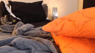 thefleshexperience 16