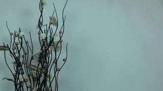 2018-08-03 - cb - abigailmartin (480p)