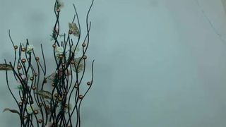 2018-08-03 - cb - abigailmartin (480p)