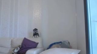 AsiandreamsX camshow 240716