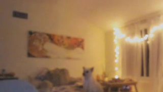 Bleu__ A Bit Of Bleu Boobage