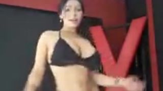 oficiallaexoticamotel