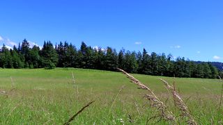 Kati3kat Strawberry cream