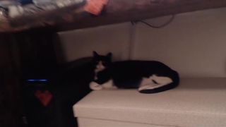 newivy jerk and hot cum