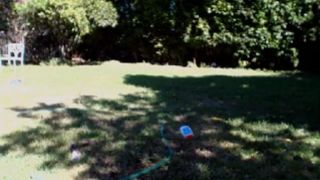 Raeriley mfc 310716 request