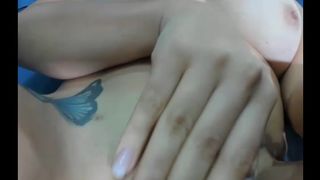 MFC MeowingKitten November-22-2018