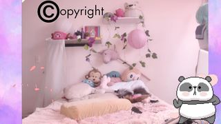 mollyflwers 2018-11-20-16-13