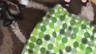 cocaine sex