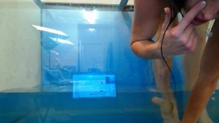 itscleo 2016-05-03 aquarium