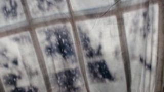 GalaxyFox mfc 17.11.18