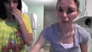 Cat fight le_lea