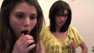 Cat fight le_lea