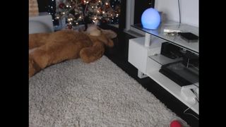 EliseLaurenne 2018-12-24 part 3