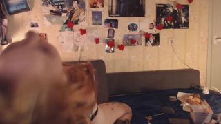 amazingbelka-2018-12-01 09-57-38.363