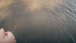 POV Saber Jack and Fuck