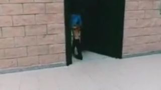 lady in bagno pubblico