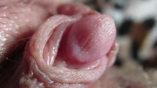 Pulsing Hard Clitoris in Extreme Close up