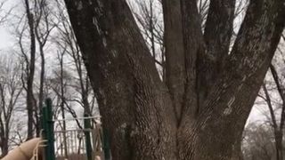 Tried to Masterbate at the Park and got Caught