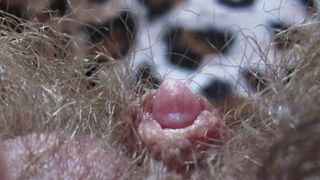Extreme Close up on my Hairy Pussy and Big Clit