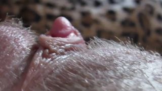 Big Clit Hiding in the Hairy Bush