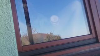 Pieprzenie Cipy Na Oknie