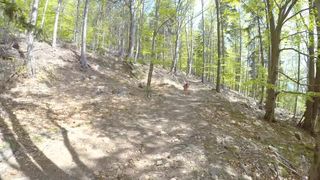 Young Girl is Caught during Fucking by a Peeper in Forest in all 3 Holes