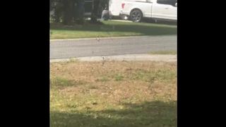 Masturbating for my Neighbor. he kept trying not to Watch