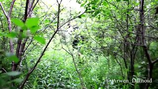 Fucking an Elf in Public