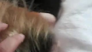 OWNING this Bitch (i think she's had Enough...oh Well)