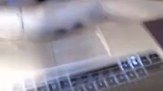 tawney mandibaby strapon