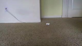 Alysss webcam recording
