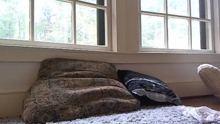 NikkiEliot Pussy play Recording